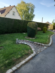 Photo de galerie - Tonte de pelouse