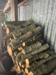 Photo de galerie - Coupe de bois 