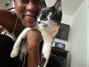 Photo de galerie - Garde chat