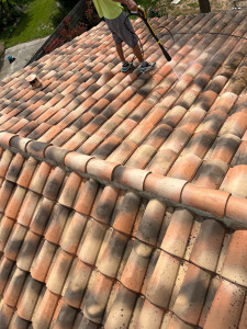 Photo de galerie - Nettoyage Toiture et traitement en cours