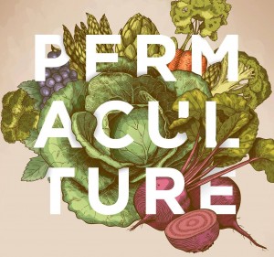 Photo de galerie - Paysagiste - Aménagement du jardin