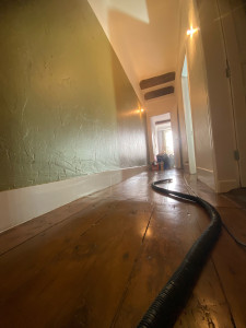 Photo de galerie - Peinture - Tapisserie