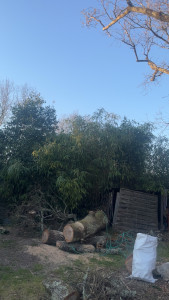 Photo de galerie - Fin