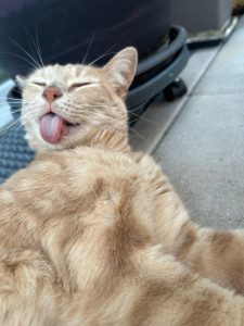 Photo de galerie - Petite flocky