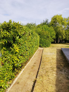 Photo de galerie - Taie de haie 