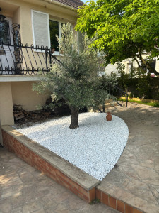 Photo de galerie - De base un sapin bleu était ici il a été remplacer par un Olivier et la décoration cailloux blancs 