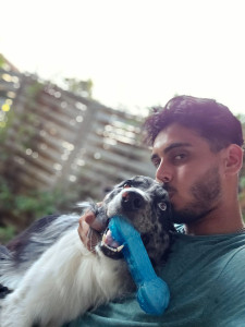 Photo de galerie - Garde chien