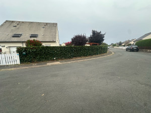 Photo de galerie - Taille de haie de Laurier 