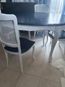 Photo de galerie - Meuble avant refait en peinture