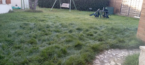 Photo de galerie - Jardinier