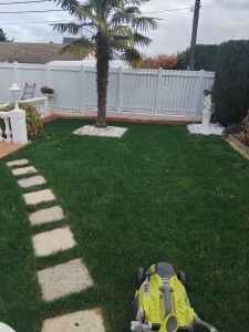 Photo de galerie - Paysagiste - Aménagement du jardin