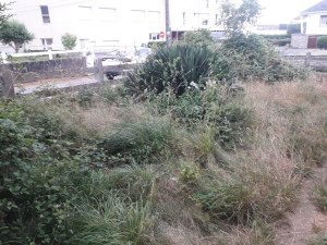 Photo de galerie - Avant 