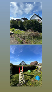 Photo de galerie - Taille de haie 