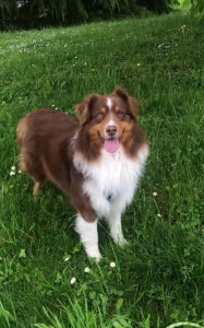 Photo de galerie - Newton