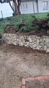 Photo de galerie - Arrachage de l'arbuste, mise en place de la bâche de paillage, plantation 
