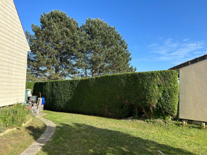 Photo de galerie - Taille de haie