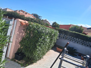 Photo de galerie - Ok