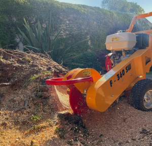 Photo de galerie - Rognage de souche 