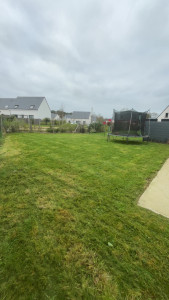 Photo de galerie - Tonte de pelouse 