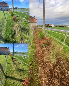 Photo de galerie - Débroussaillage et fourniture/pose de BRF
