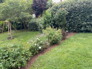 Photo de galerie - Entretien création