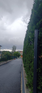 Photo de galerie - Tailles de haies