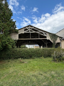 Photo de galerie - Rabattage d’une haie de Troène 