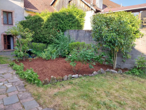 Photo de galerie - Paillage de Massif 