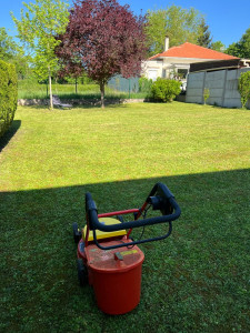 Photo de galerie - Tonte de pelouse - Débroussaillage