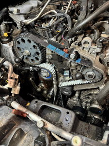 Photo de galerie - Distribution Volkswagen 