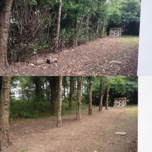 Photo de galerie - Nettoyage de ronces et compagnie 