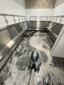 Photo de galerie - Décapage 