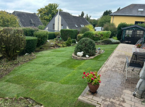 Photo de galerie - Pour un jolie jardin.