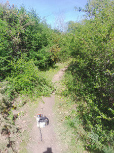 Photo de galerie - Débroussaillage 