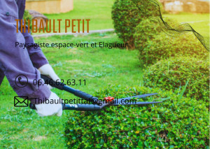 Photo de galerie - Paysagiste espace vert élagueur 