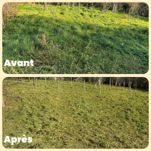 Photo de galerie - Débroussaillage 