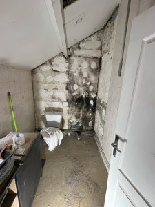 Photo de galerie - Rénovation de salle de douche avant 