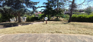 Photo de galerie - Tonte de pelouse - Débroussaillage