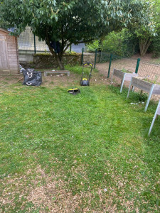 Photo de galerie - Tonte de pelouse - Débroussaillage