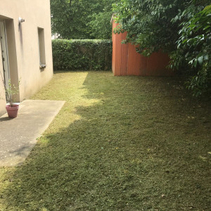 Photo de galerie - Tonte de pelouse - Débroussaillage