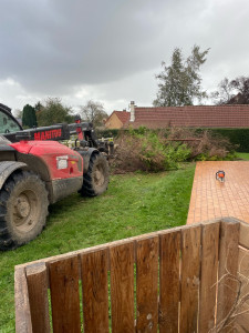 Photo de galerie - Elagage et coupe d'arbres