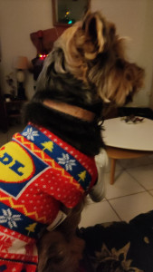 Photo de galerie - Je garde et promène les chiens en fonction de vos besoins ! alors si vous êtes indisponible pendant quelques temps, n'hésitez pas et rejoignez les voisins qui m'ont fait confiance !