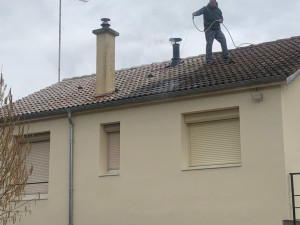 Photo de galerie - Traitement anti mousse curatif et préventif 