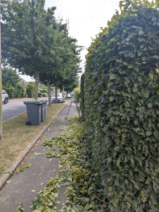 Photo de galerie - Après 