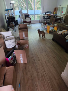 Photo de galerie - Ménage