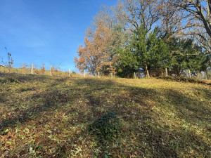 Photo de galerie - DEBROUSAILLAGE DE LA VÉGÉTATION ADVENTICE 