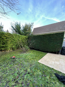 Photo de galerie - Taille