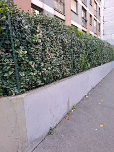 Photo de galerie - Réalisation 