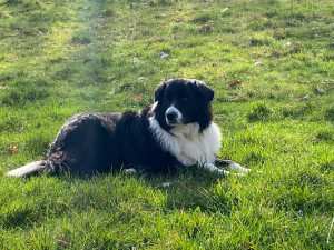 Photo de galerie - Oscar qui a adoré le jardin 