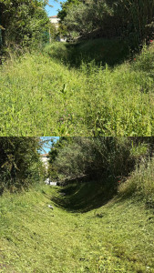 Photo de galerie - Debrousaillage 